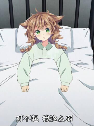 一只懒狗的2020届失败的申请（去美读游戏研）